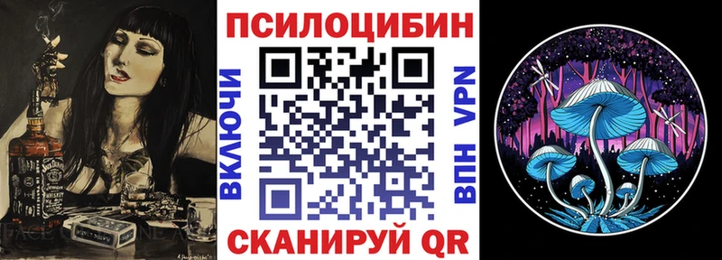 кракен вход  Богородицк  Галлюциногенные грибы Cubensis 