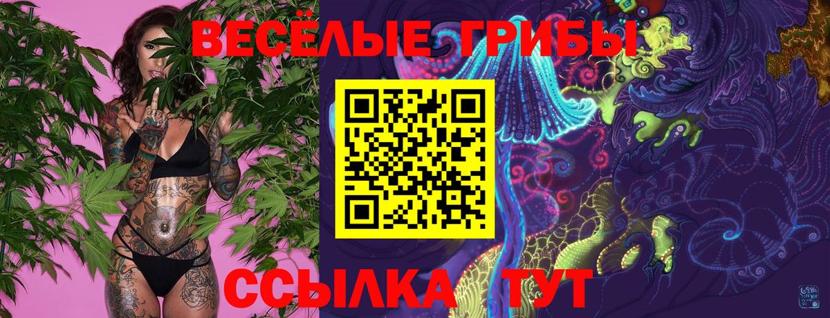 Богородицк  Галлюциногенные грибы прущие грибы  Вход с VPN 